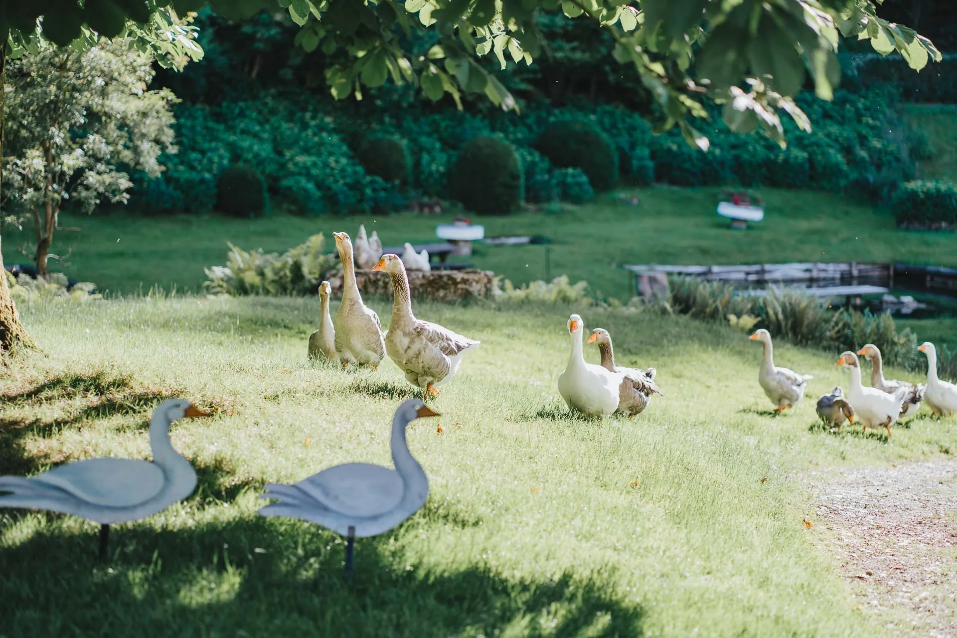 Hochzeit in der Künkele Mühle, Bad Urach